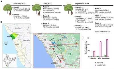 Surveillance of Nipah virus in Pteropus medius of Kerala state, India, 2023